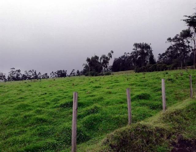 DE VENTA HERMOSA HACIENDA DE 70 HAS EN OTAVALO