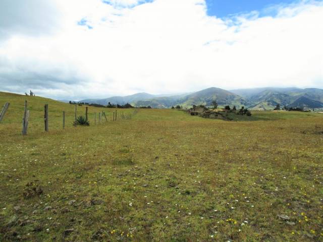 TERRENO SEMIPLANO EN CAYAMBE OLMEDO