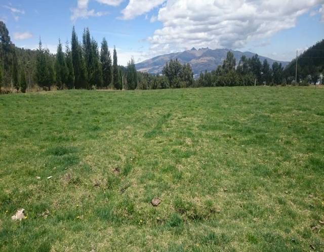 PRECIOSA PROPIEDAD DE 4 HECTÁREAS EN CAYAMBE