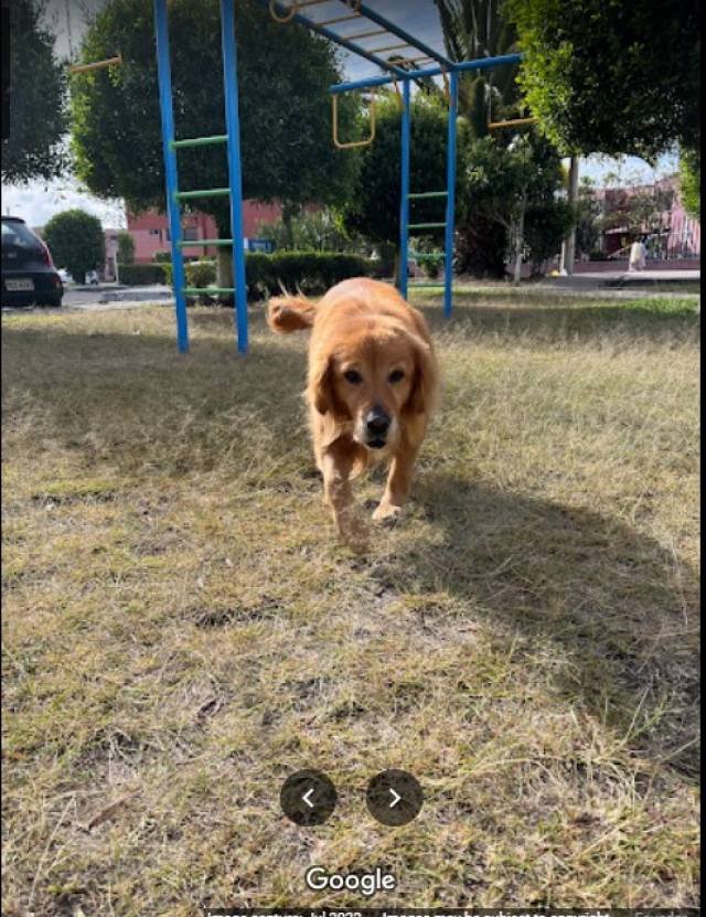 Se arrien departamendo de tres dormitorios con sala comedo cocina y lavanderia