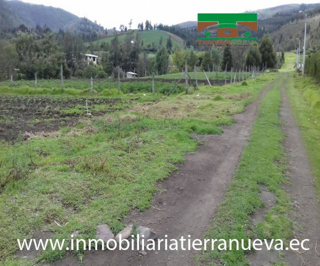 TERRENO DE 980M2 DE OPORTUNIDAD EN CAYAMBE