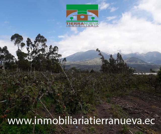 VENDO LOTE DE TERRENO DE 3.500m2 EN ATUNTAQUI