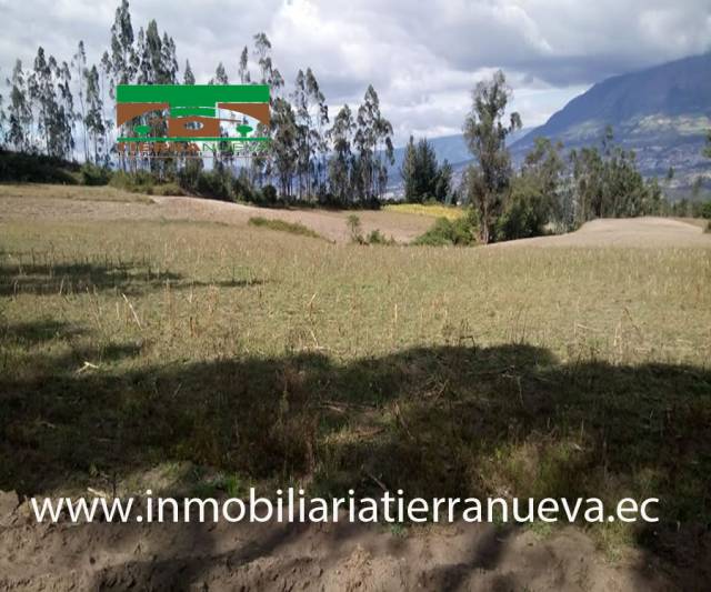 SE VENDE LOTE DE TERRENO DE 5.554M2 EN COTACACHI