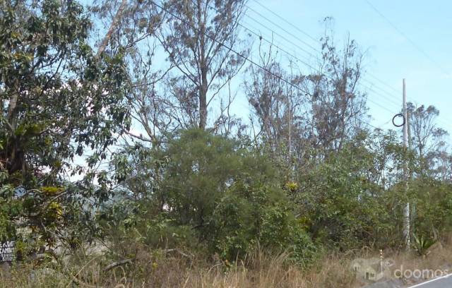 VENDO TERRENO MUY FÉRTIL EN LA PARROQUIA DE PERUCHO