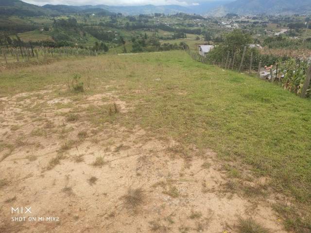 LOTE IDEAL PARA UN PROYECTO AGRICOLA DE 1869.25 M2,TOPOGRAFIA PLANA CON LOS SS.BB CARROZABLE AL PREDIO