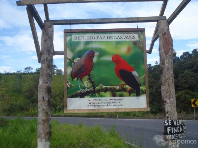 Vendo Linda Finca Vía Calacalí los Bancos 3 1/2 hectareas. 0998950348