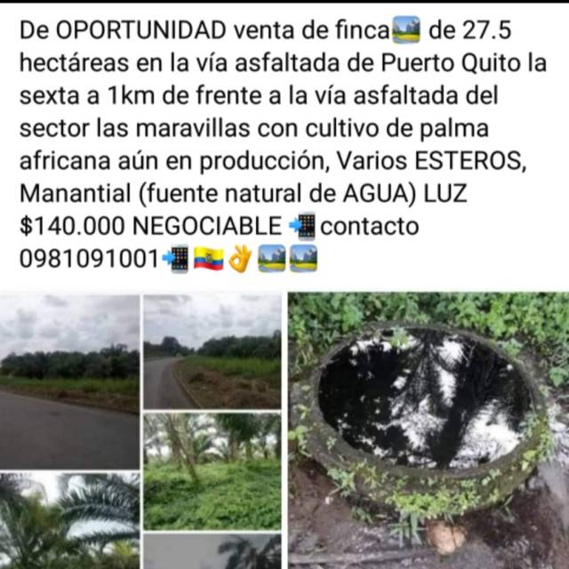 DE OPORTUNIDAD VENTA FINCA