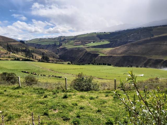 HACIENDA DE 92 HECTÁREAS UBICADA A 30 MINUTOS DE CAYAMBE