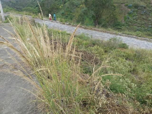 TERRENO URBAIZACION LIRIOS DE CARCELEN