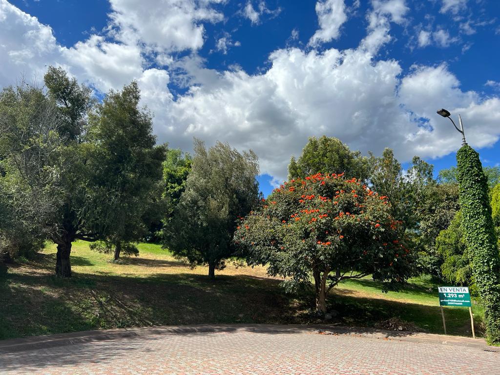 Terreno en  venta en la Urbanización Vieja Hacienda, Cumbayá