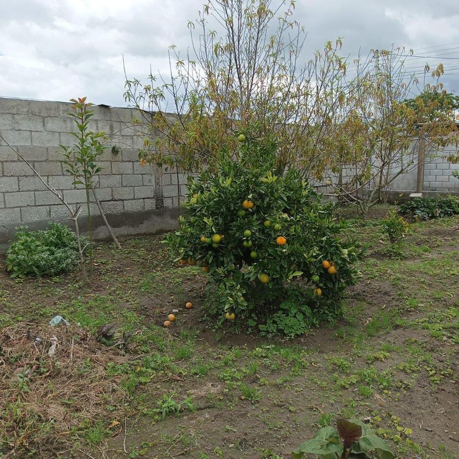 EN VENTA CASA CON TERRENO, SECTOR GUAYLLABAMBA