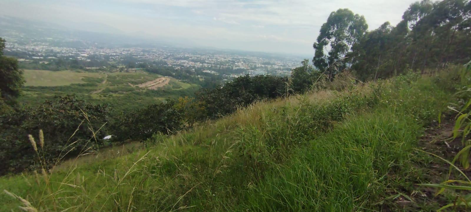 TERRENO EN VENTA TUMBACO SECTOR PLAZAPAMBA