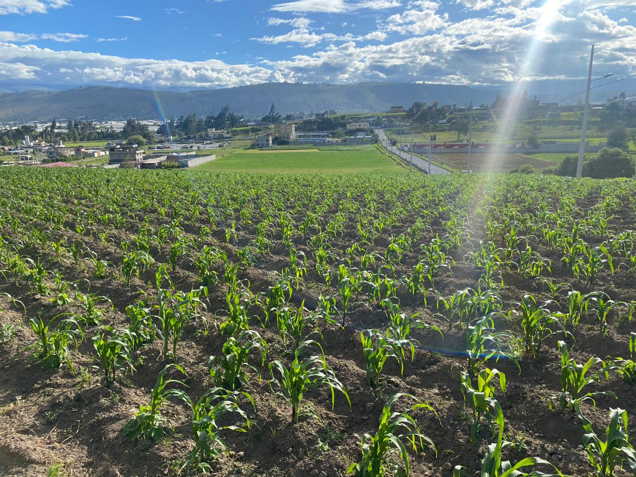 Terreno en  venta Cerca de la ESPE de 50.000m en Belisario Quevedo, Latacunga