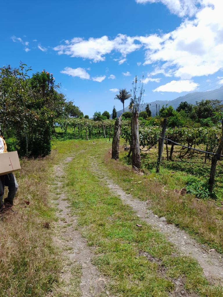 FINCA DE VENTA EN COTACACHI CON CASA DE CAMPO SECTOR CAZARPAMBA