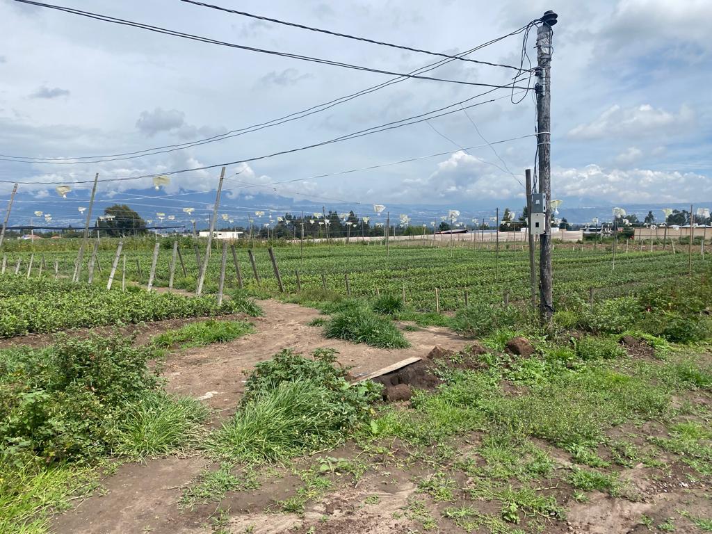 Lindo Terreno en Tababela cerca del centro de Tababela PR