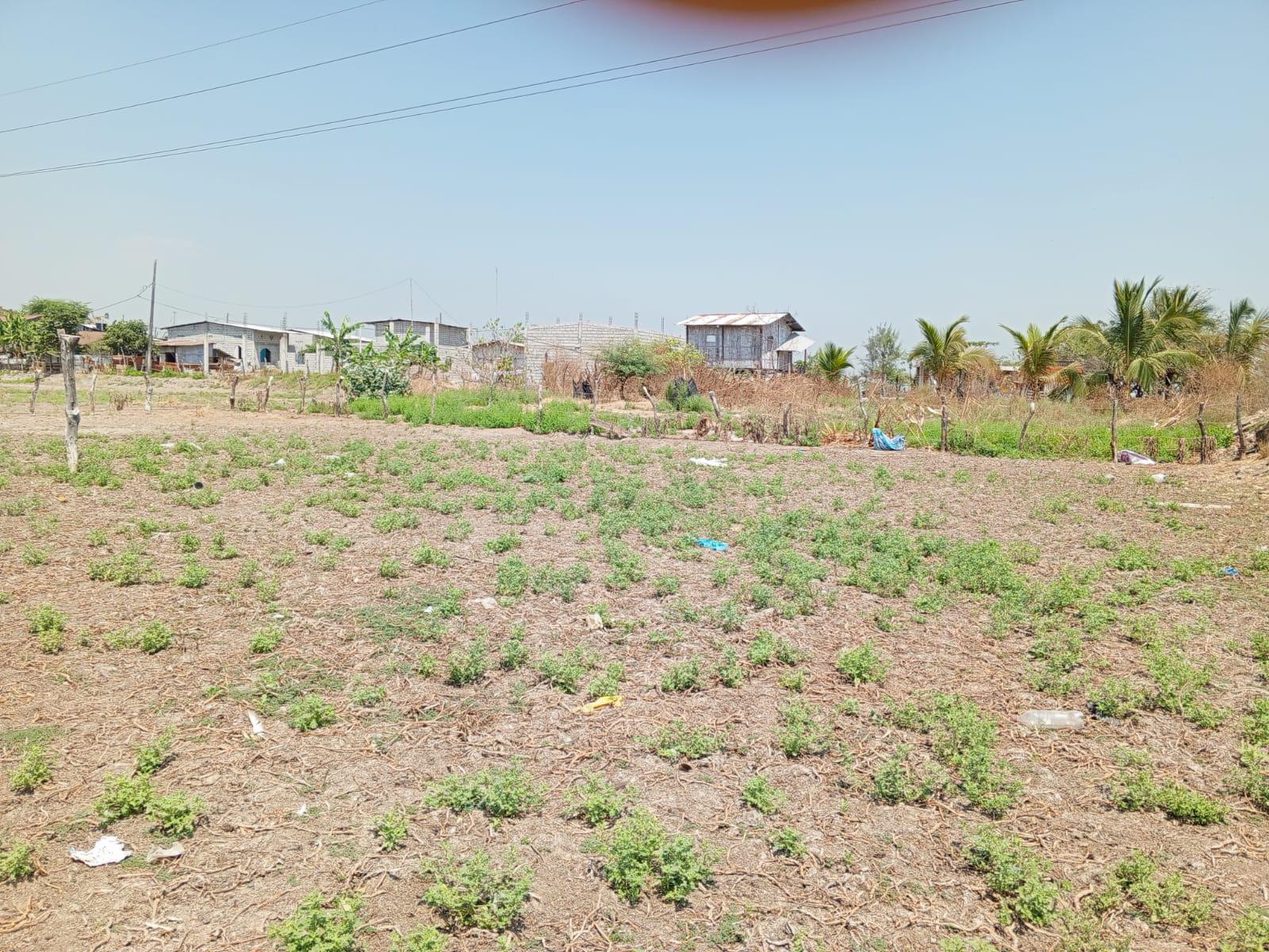 VENTA DE TERRENO AL PIE DE LA VIA GUAYAQUIL - BABAHOYO  (AGE)