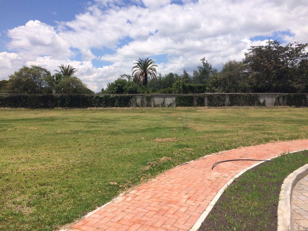 Terreno de venta en Urbanización Palermo en Puembo