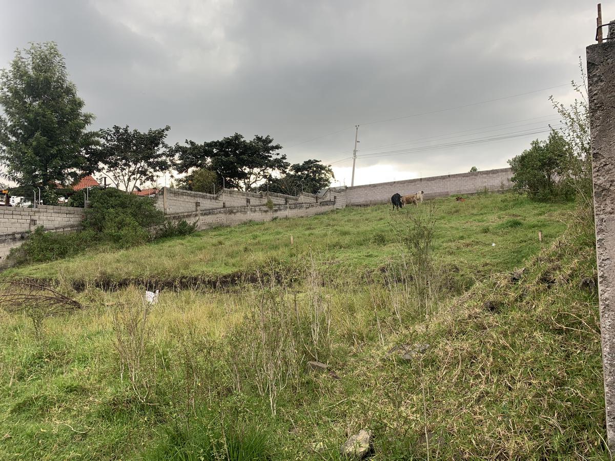 Terreno en Alangasí - El Tingo