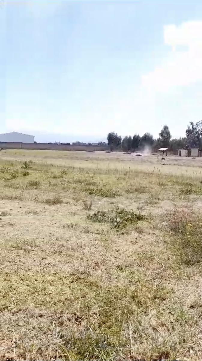 Terreno de 3 hectáreas en venta en centro de Calderón