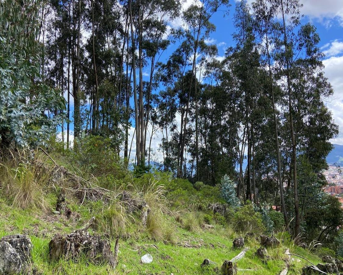 TERRENO CON VISTA A LA CIUDAD