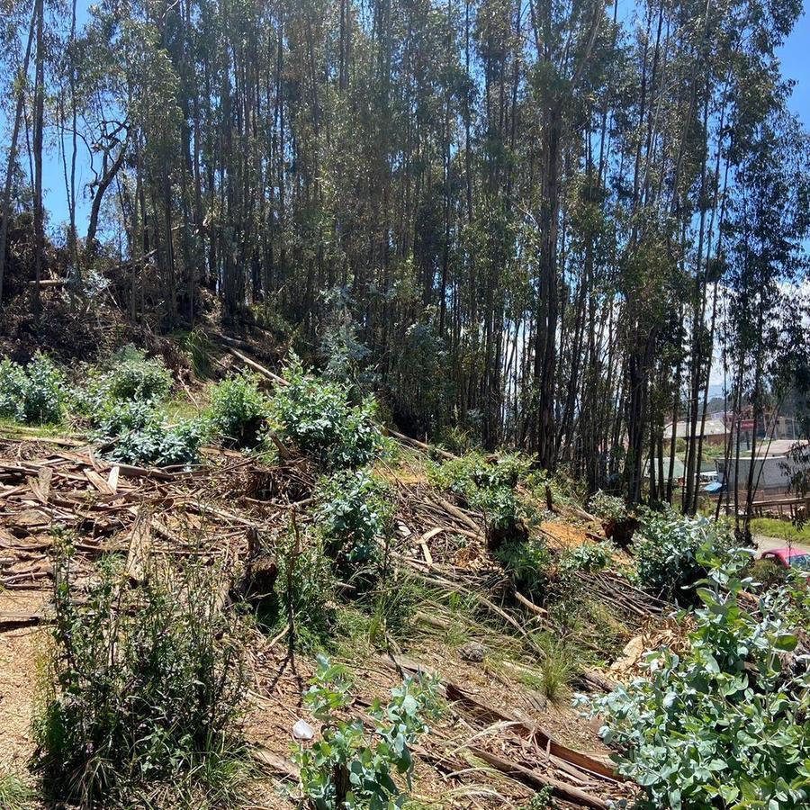 TERRENO CON LINEA DE FABRICA, SECTOR COOP. JEP ORDOÑEZ LASSO