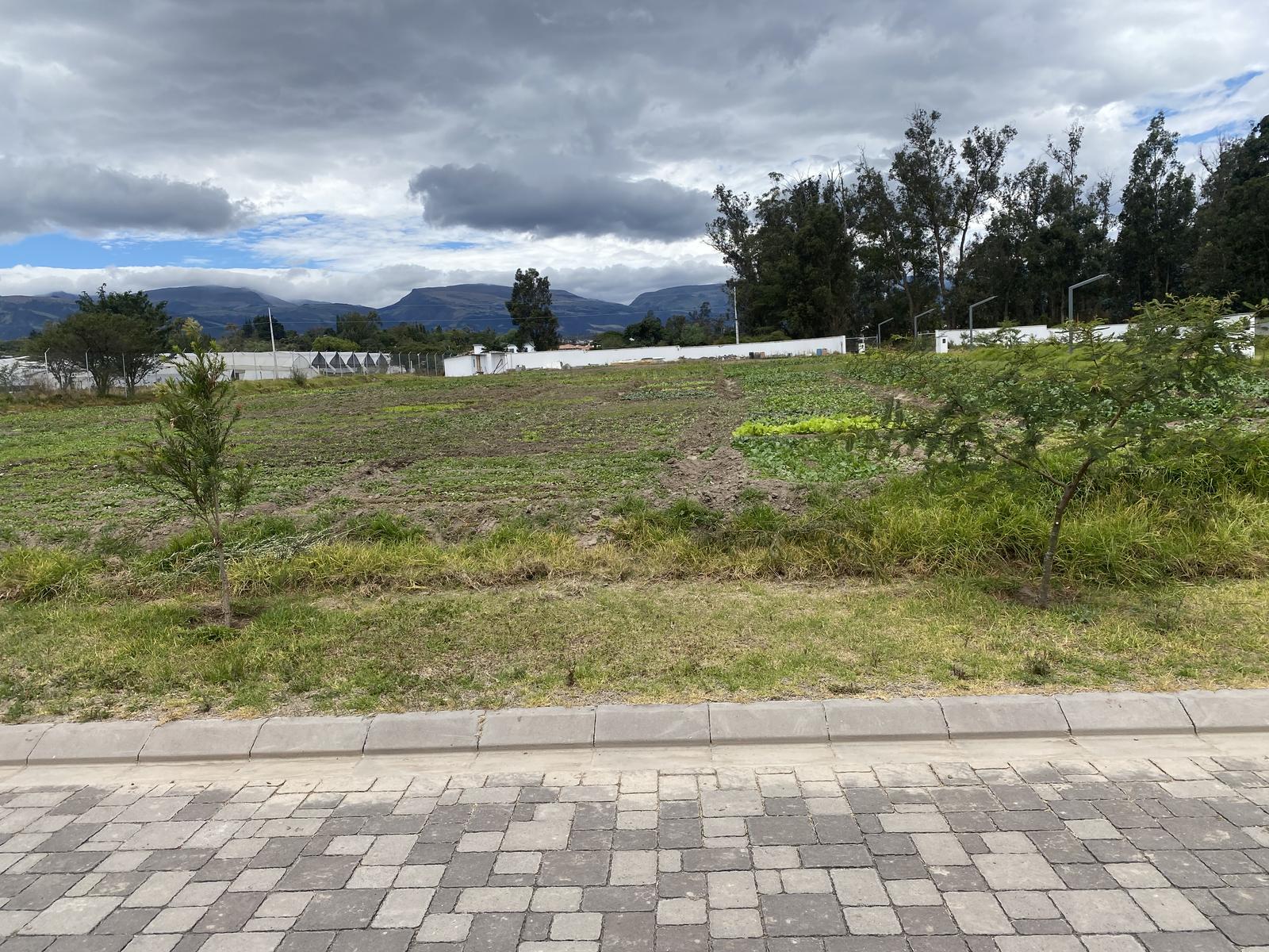 Terreno de venta ubicado en Tumbaco.  Dentro de Urbanización, Plano