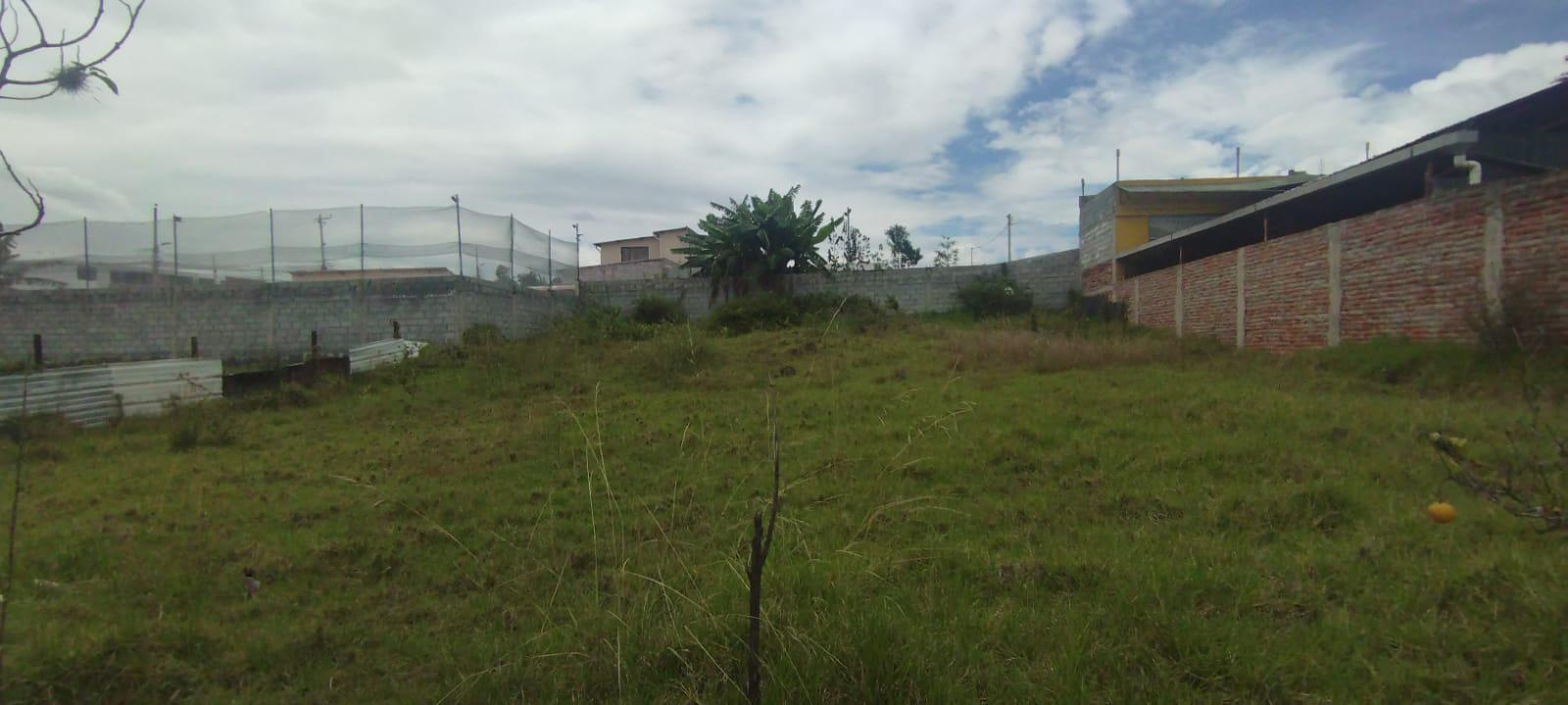 Terreno en Venta Tumbaco sector La Morita