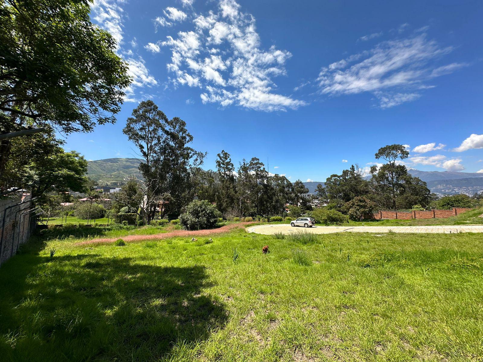 VENDO TERRENO EN TUMBACO - SECTOR LA MORITA