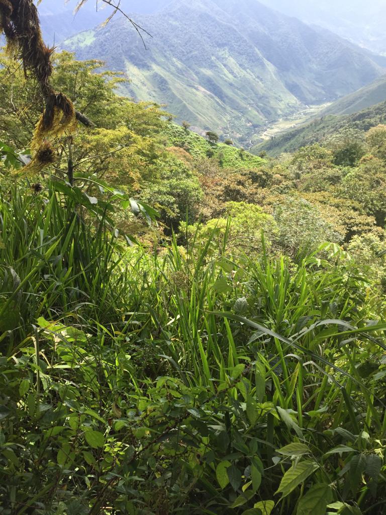 Finca en Venta en Avenida Vía Puerto Urbina