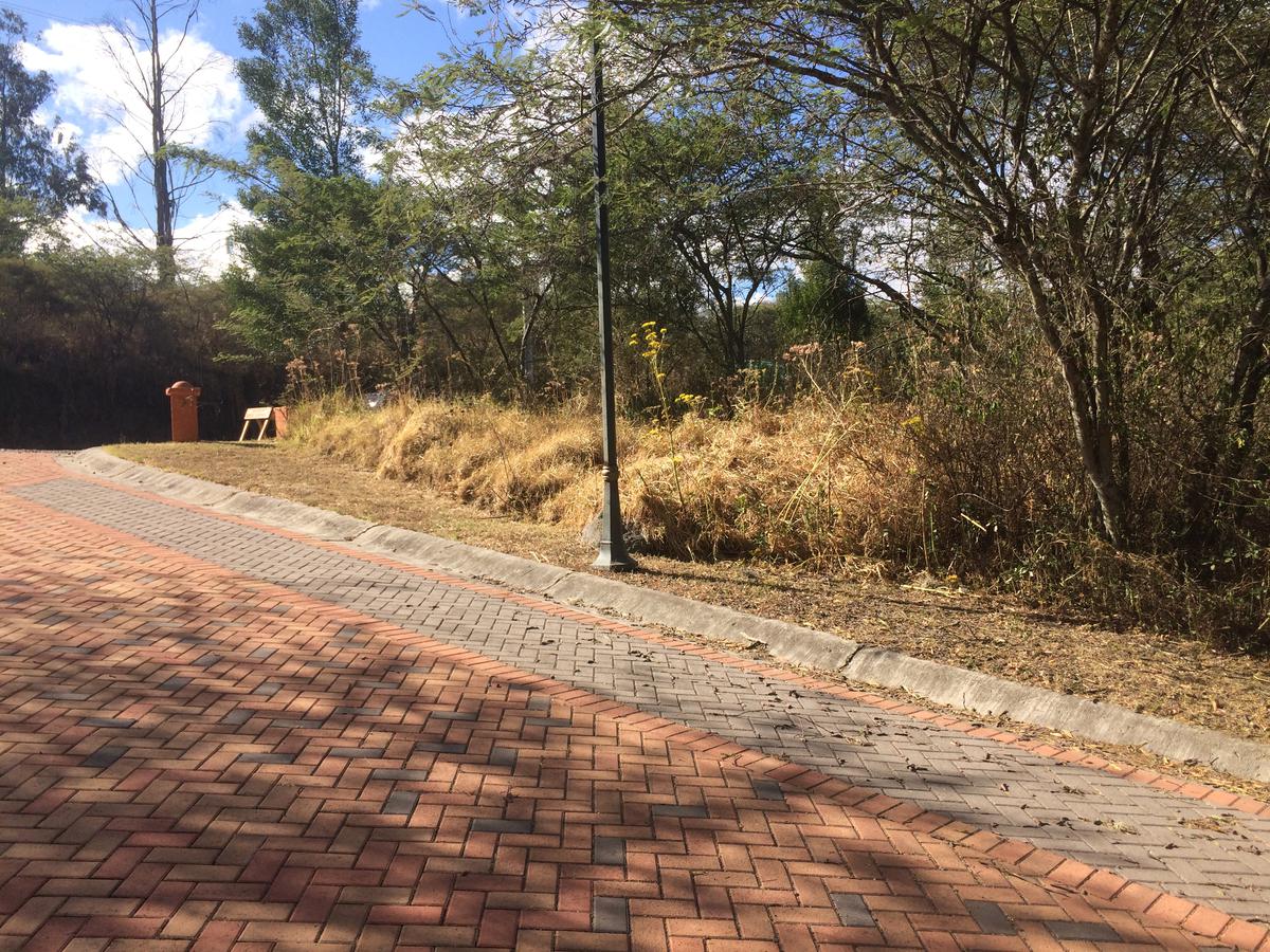 Espectacular terreno ubicado dentro de Viña del Río Parte alta