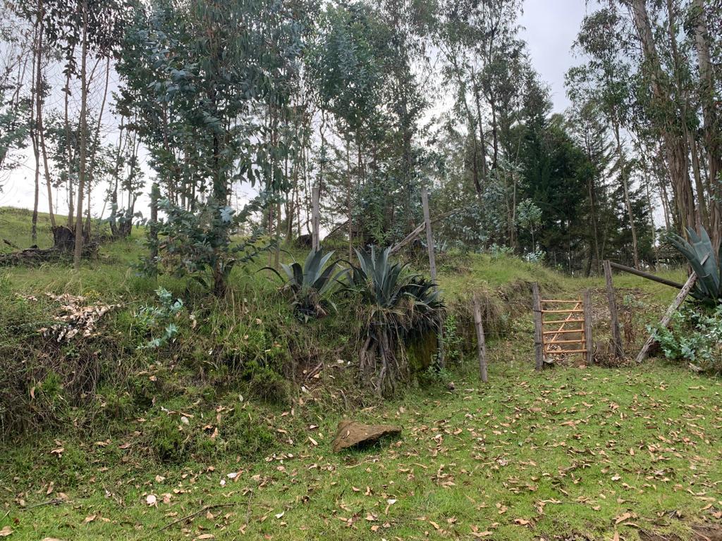 Terreno en  Venta en La Merced. Valle de Los Chillos. 2535mts. 98000usd.