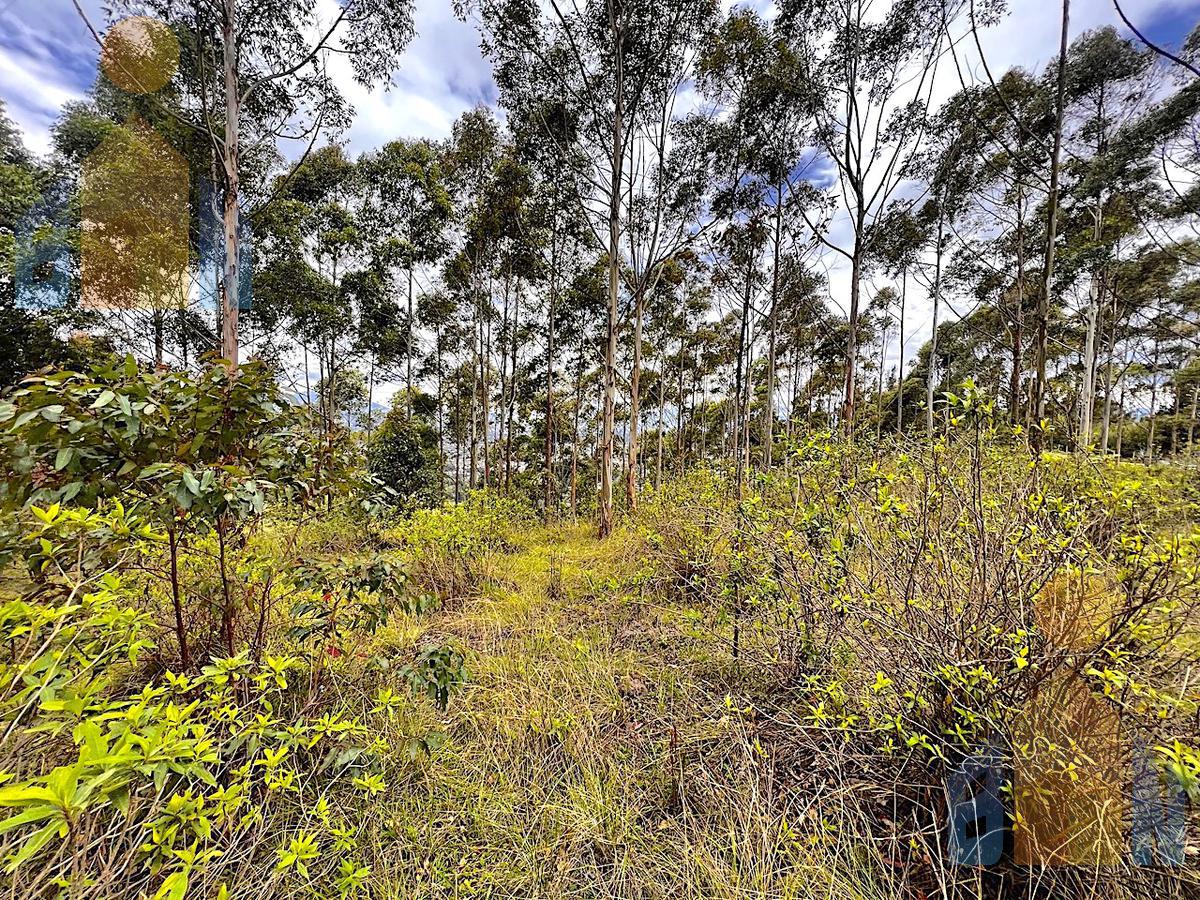 Terreno en  venta en Tumbaco Ilaló, sector Olalla