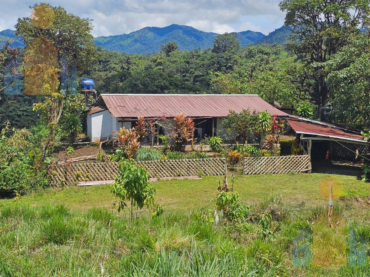 VENTA FINCA EN LOS BANCOS, 47.8 HTAS. $280 MIL