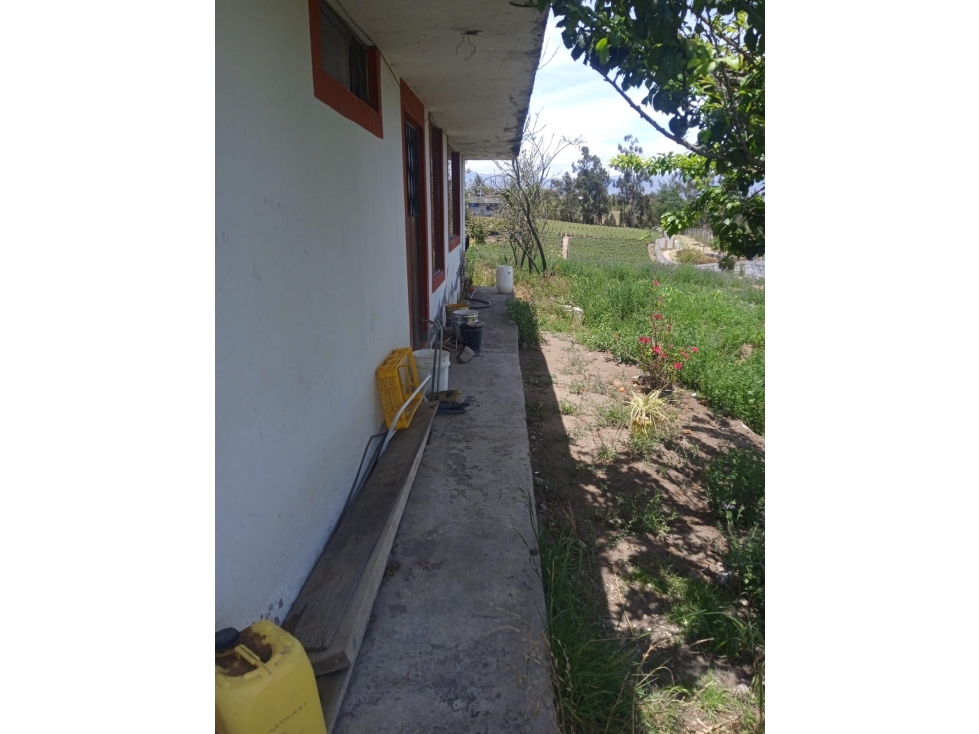 VENDO TERRENO AGRICOLA EN LA PROVINCIA DE TUNGURAHUA