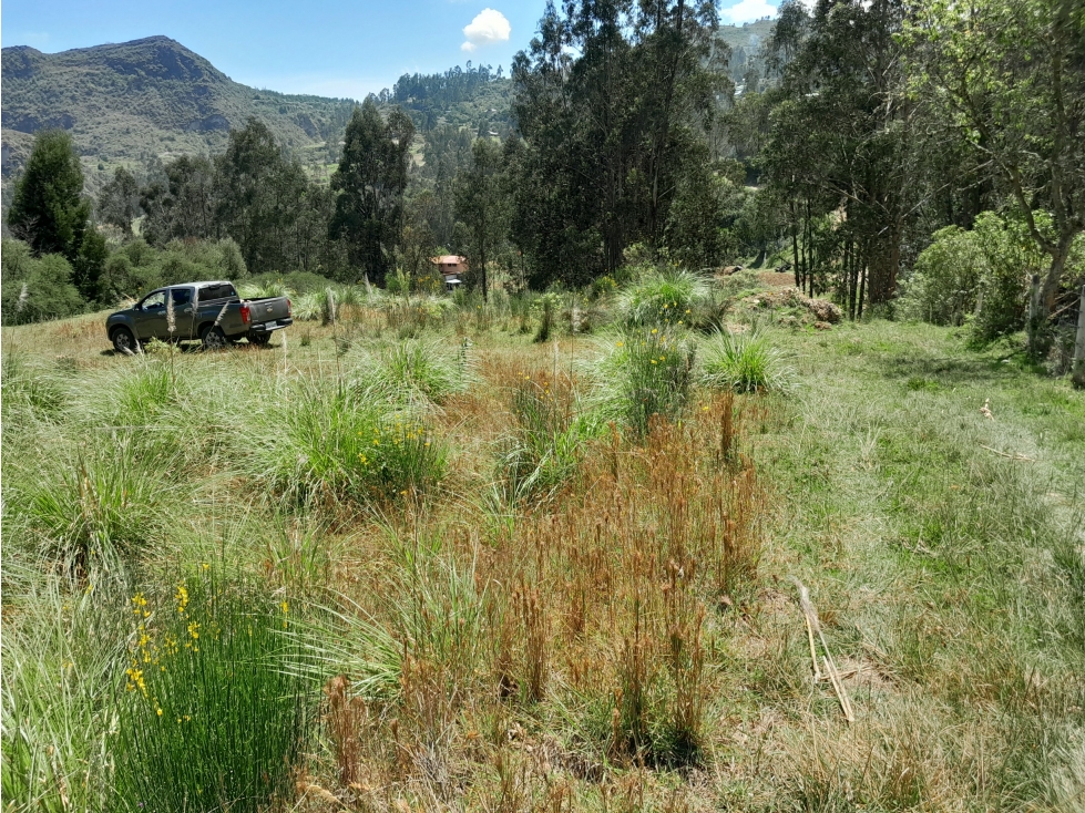 Terreno en Venta en Challuabamba.