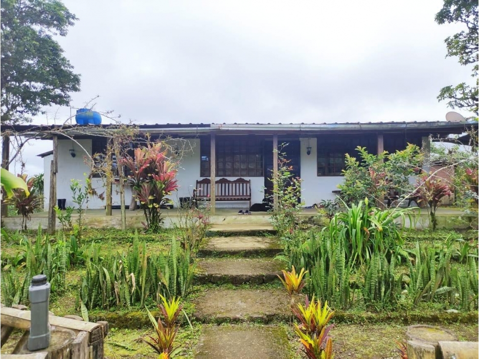 Venta Finca en Los Bancos, 47.8 htas. $280 MIL