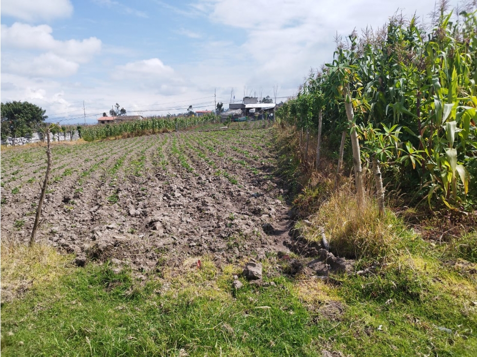 HERMOSO TERRENO PLANO EN ILUMAN