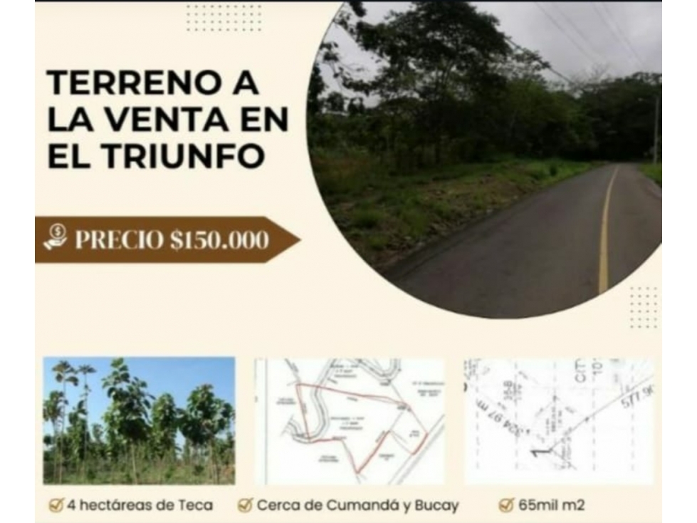 Terreno en ubicado en El Triunfo (4 hectáreas de Teca)