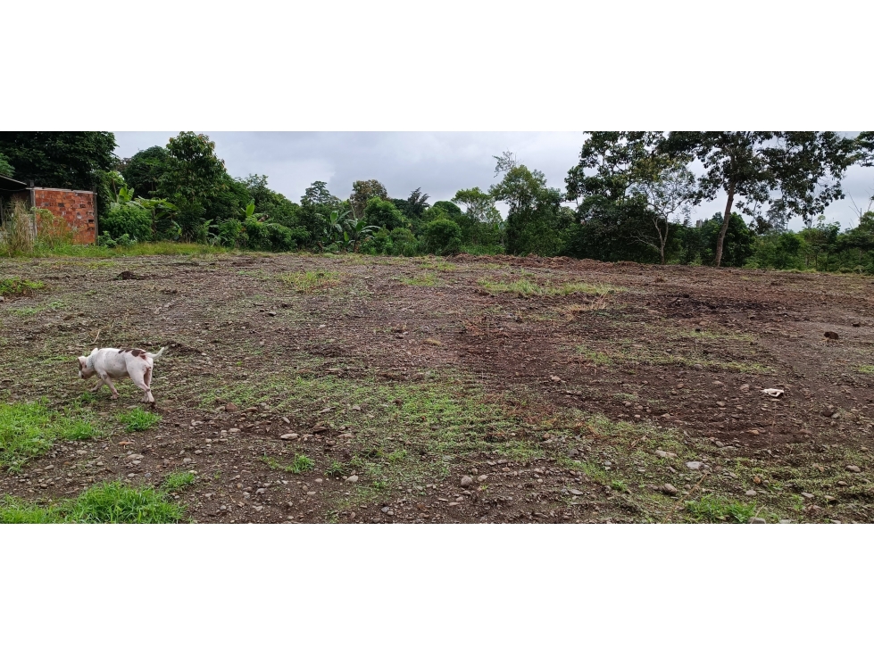 TERRENO EN LOTIZACION LAURITA