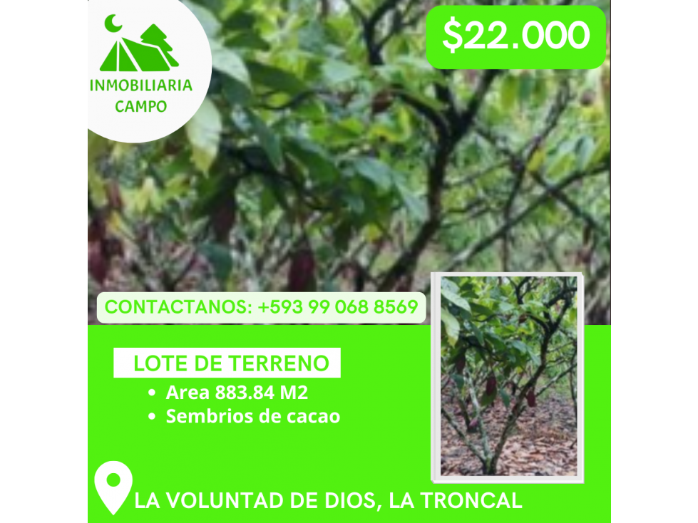 TERRENO EN SECTOR LA VOLUNTAD DE DIOS, CANTON LA TRONCAL