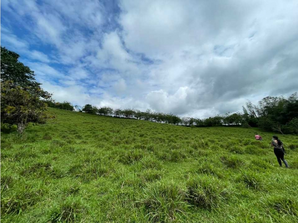 Finca Ganadera de 40 Hectáreas en Venta