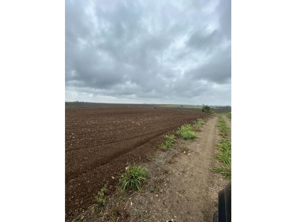 Terreno de 200 Hectáreas con Manantiales Ideal para Proyectos Agrícola