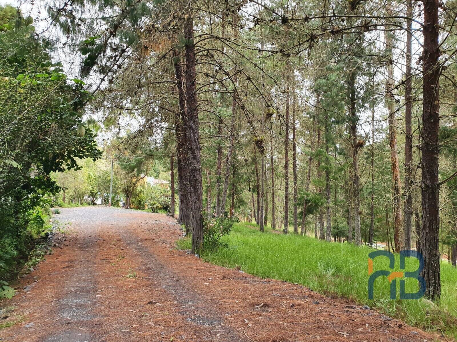 10 Hectáreas de terreno en venta en sector Guagualzhumi